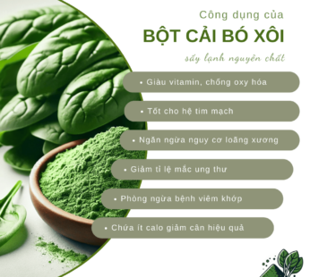 TÚI 1KG – Bột cải bó xôi nguyên chất SALAfarm – Bột rau củ dinh dưỡng tốt cho sức khỏe