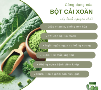 Bột cải xoăn – Bột cải kale sấy lạnh nguyên chất SALAfarm