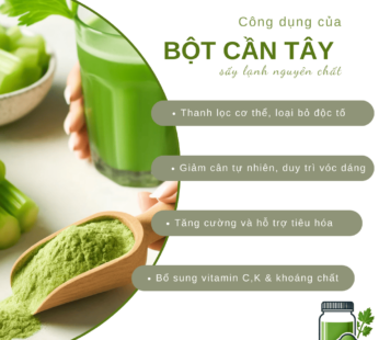 TÚI 500G – Bột rau cần tây nguyên chất SALAfarm – Bột rau củ dinh dưỡng tốt cho sức khỏe