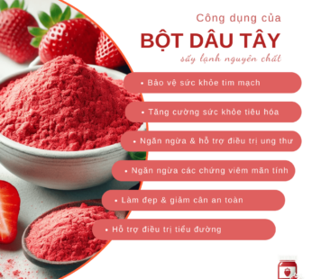 Bột quả dâu tây sấy lạnh nguyên chất SALAfarm