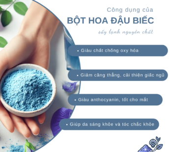 Bột hoa đậu biếc sấy lạnh nguyên chất SALAfarm