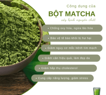 Bột trà matcha sấy lạnh nguyên chất hữu cơ SALAfarm