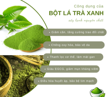 Bột trà xanh thường sấy lạnh nguyên chất hữu cơ SALAfarm