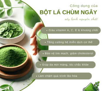 TÚI 1KG – Bột lá chùm ngây nguyên chất SALAfarm – Bột dinh dưỡng ăn dặm cho bé, tăng cường sức khỏe (Sao chép)